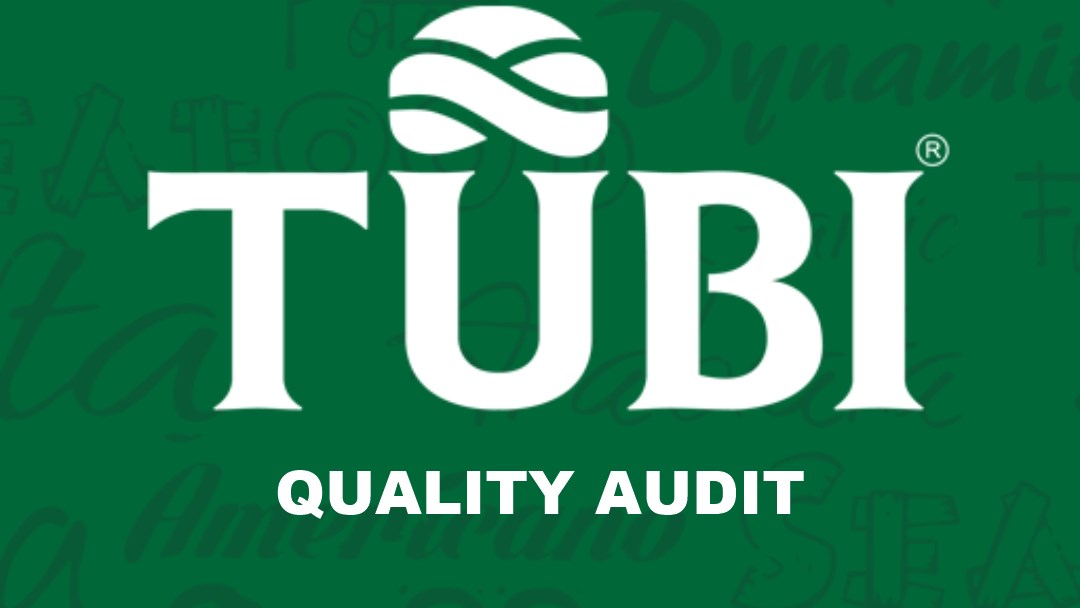 TUBI QualityAudit